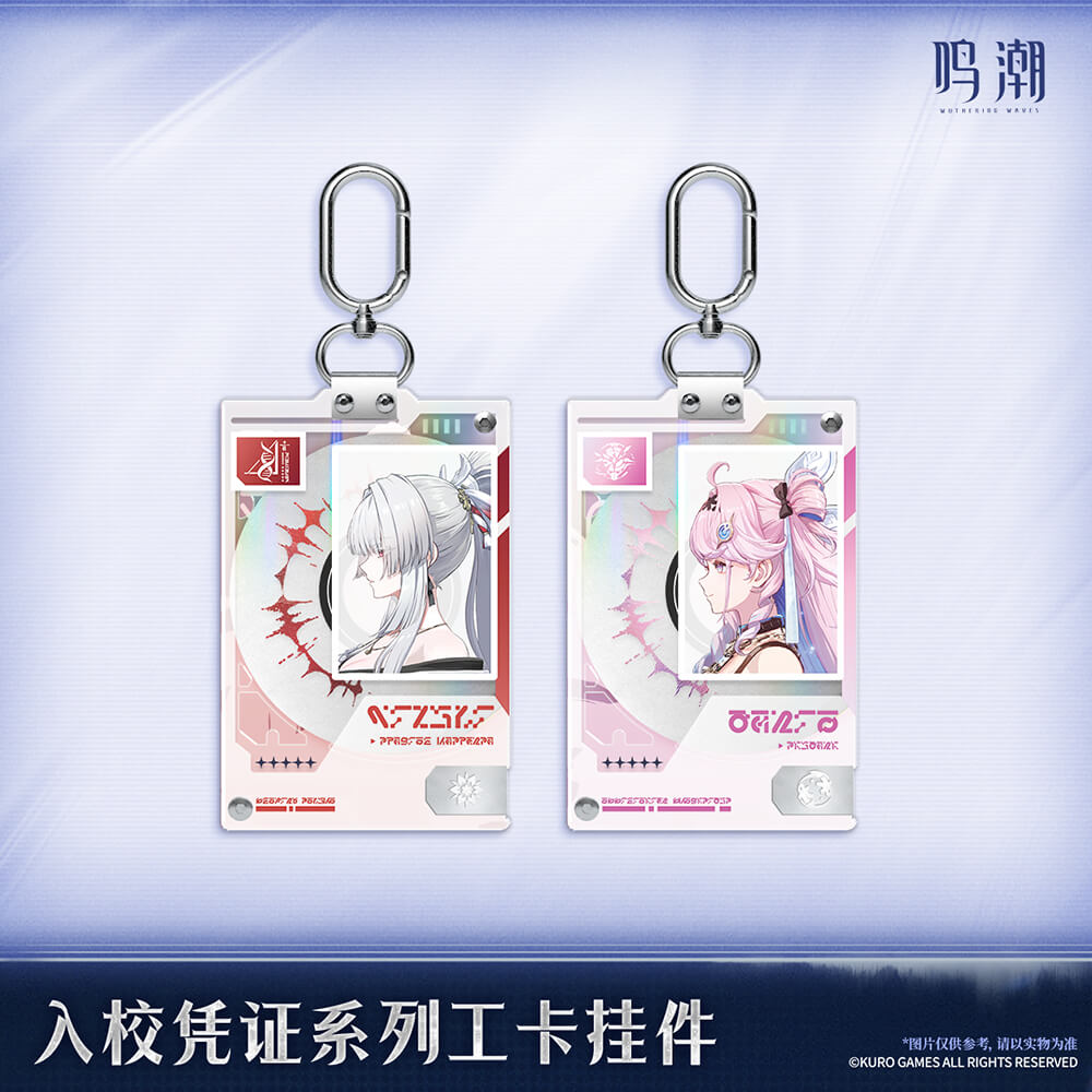 Entry Permit Series ID Card Keychain