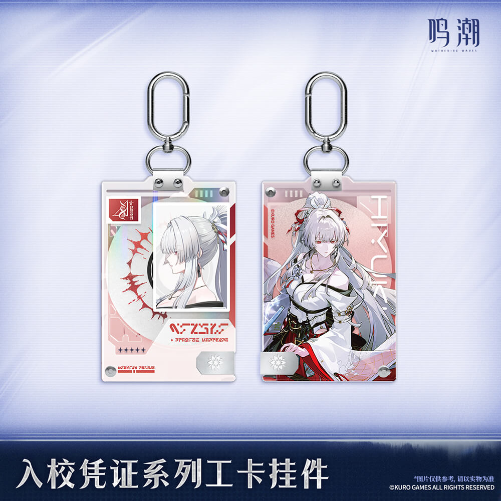 Entry Permit Series ID Card Keychain